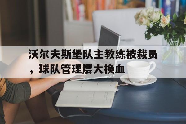 电子竞技app-沃尔夫斯堡队主教练被裁员，球队管理层大换血